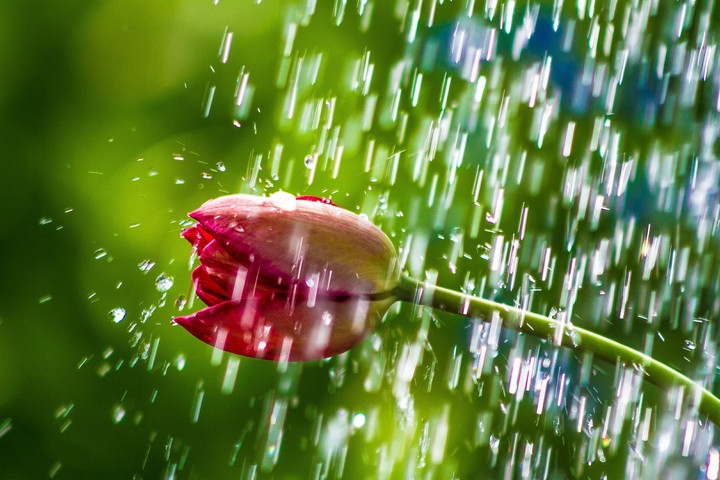 Lil rain