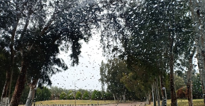 rain
