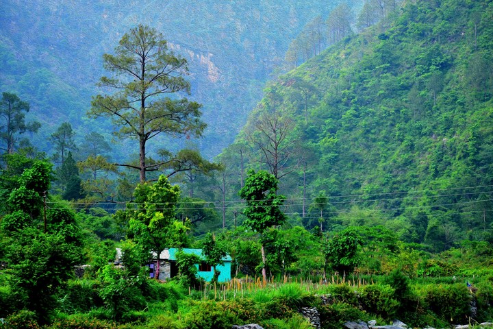 Landscape