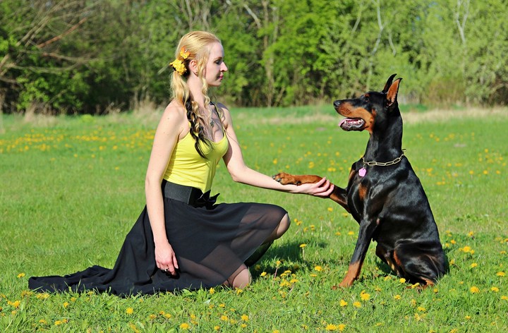 Beautifu&Dog