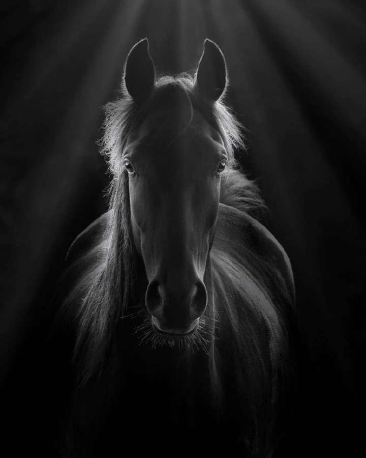 Black And White