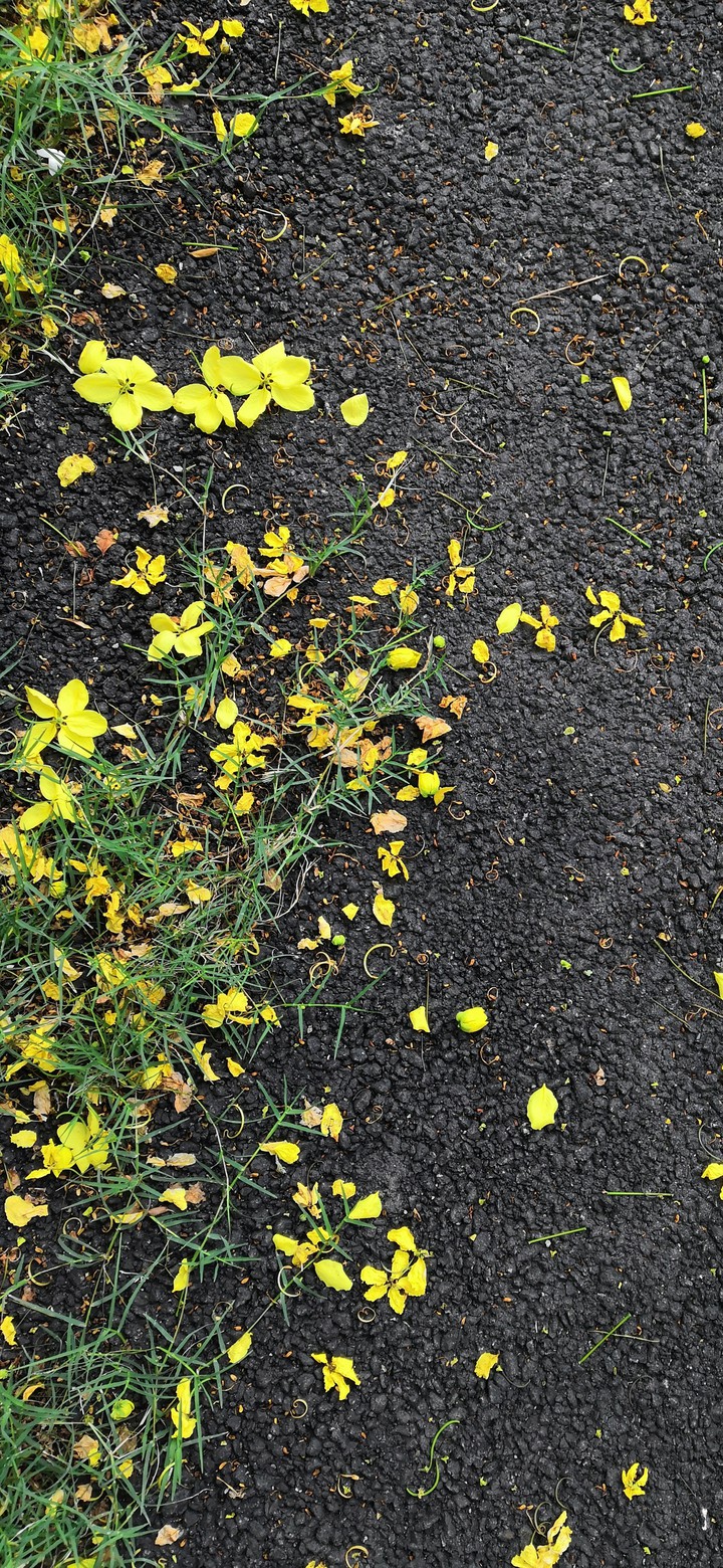 road
