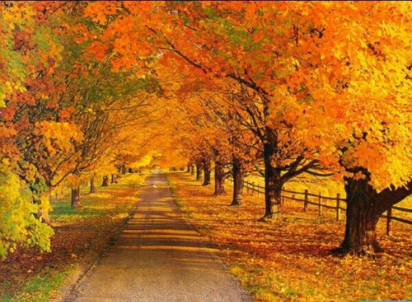 autum
