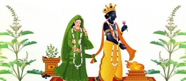 tulsi vivaah