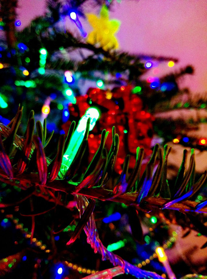 Xmas