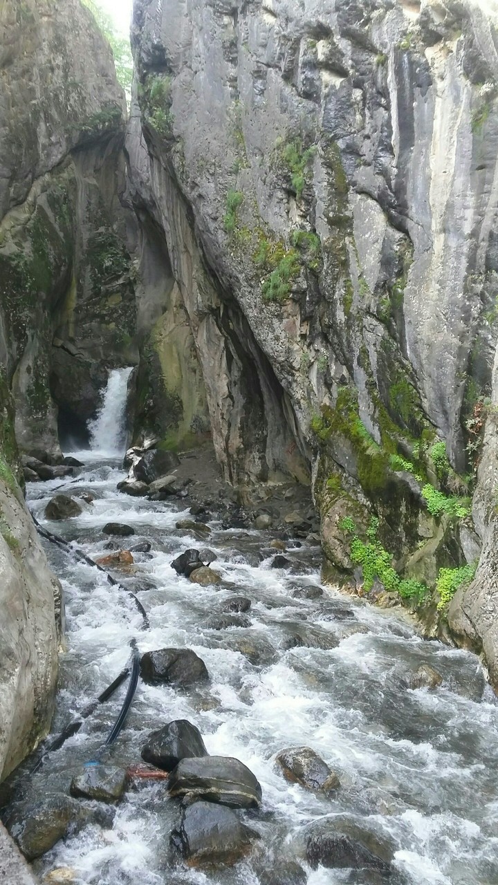 Water