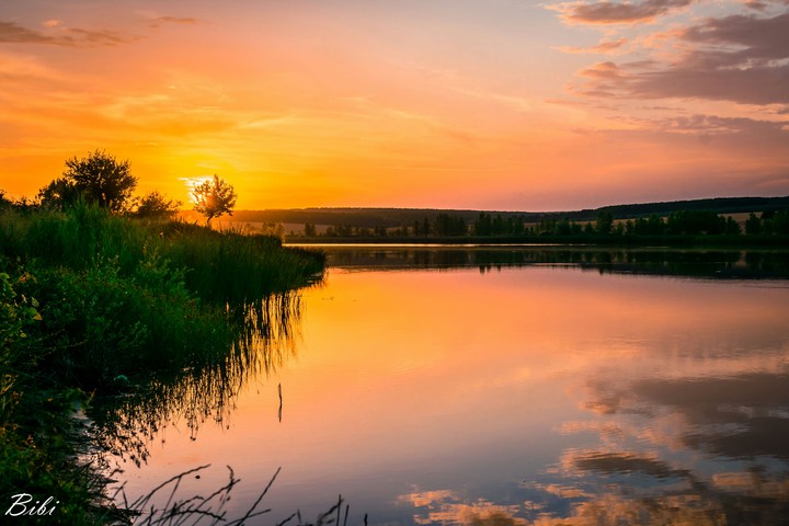 sounds of nature