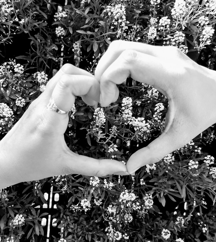 Heart ❤️™