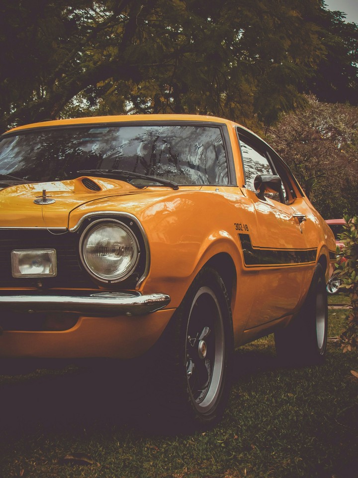 Wallpaper