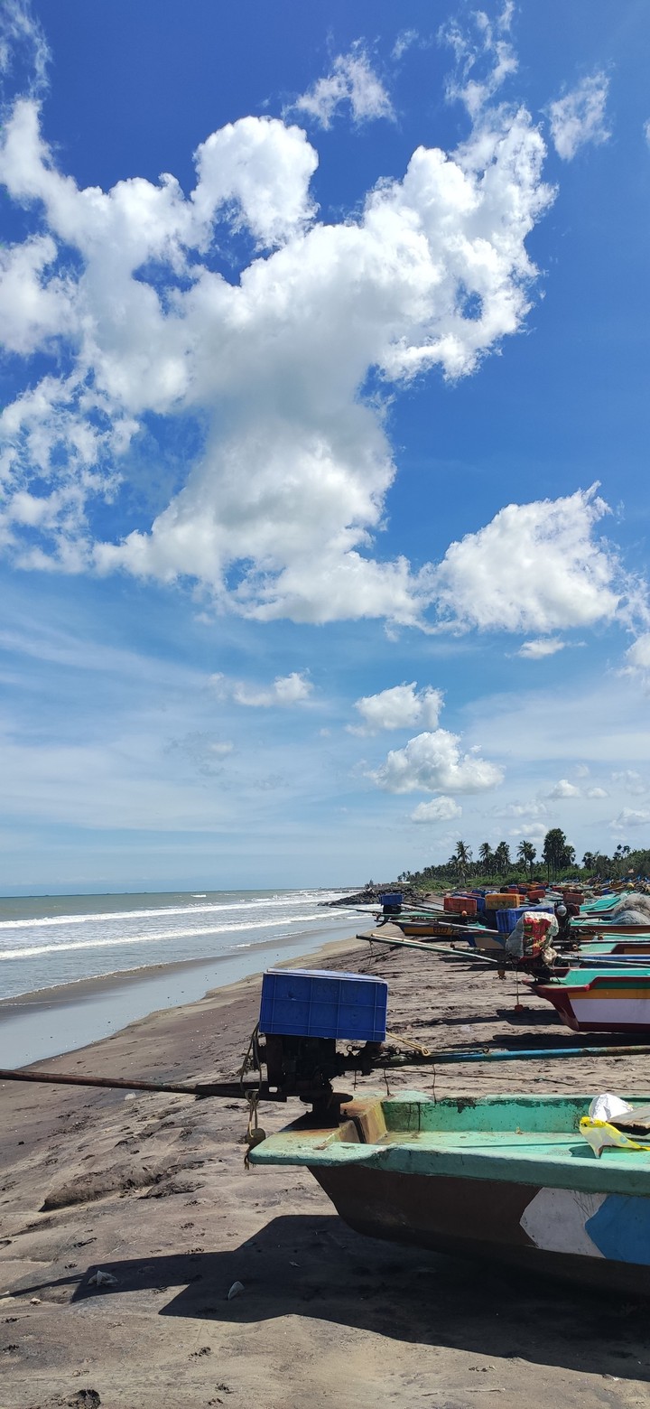 Seashore