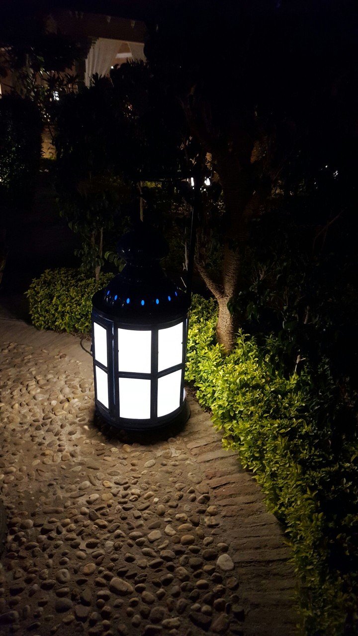 Lamp
