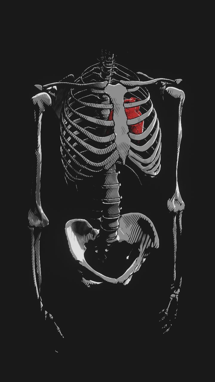 Wallpaper