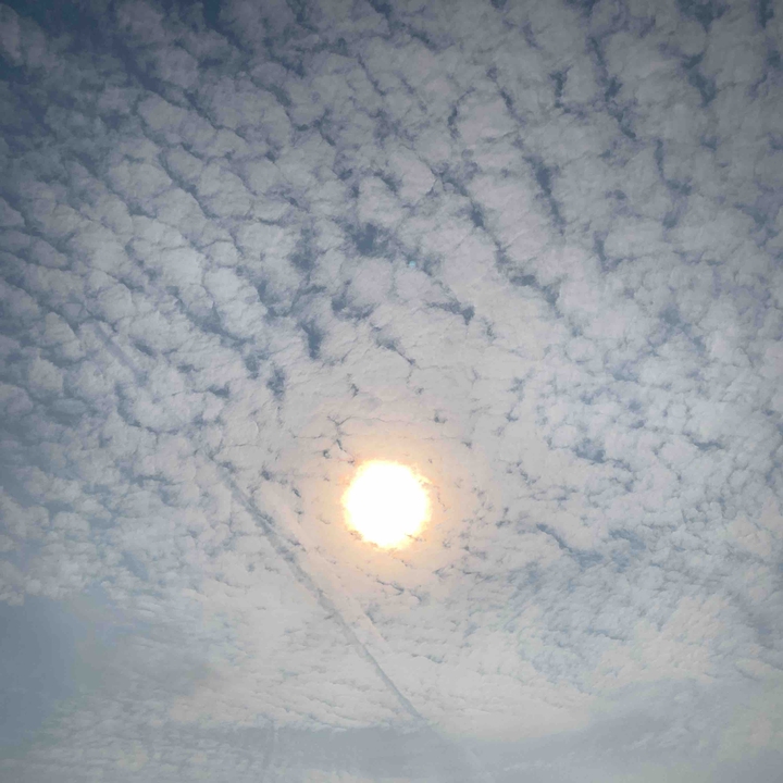 Sheep clouds & the Sun