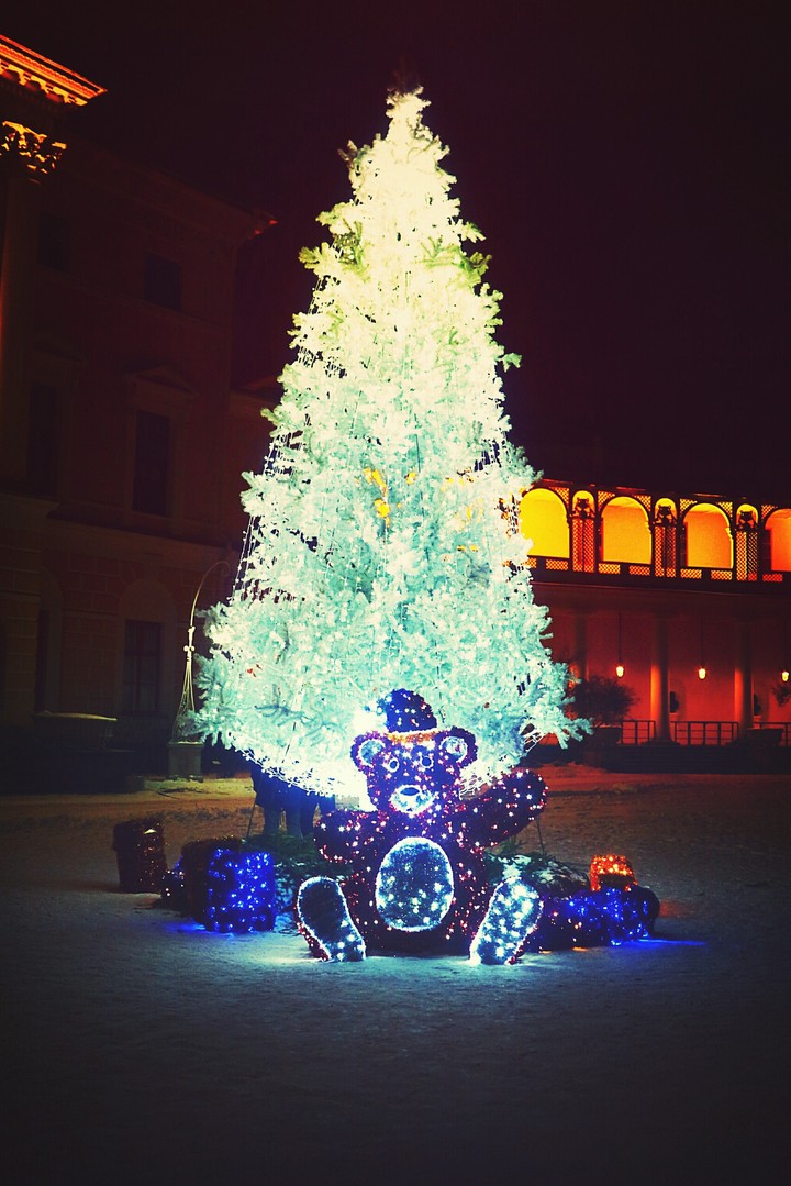 new Year