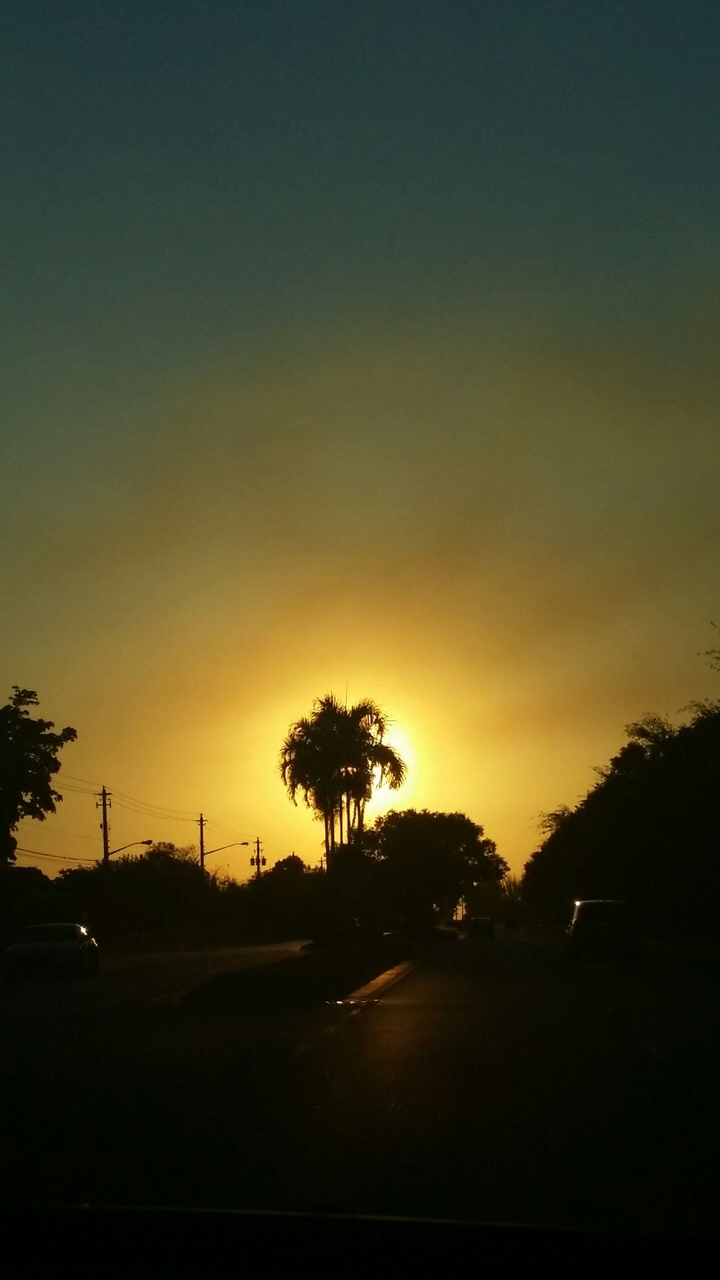 sunset