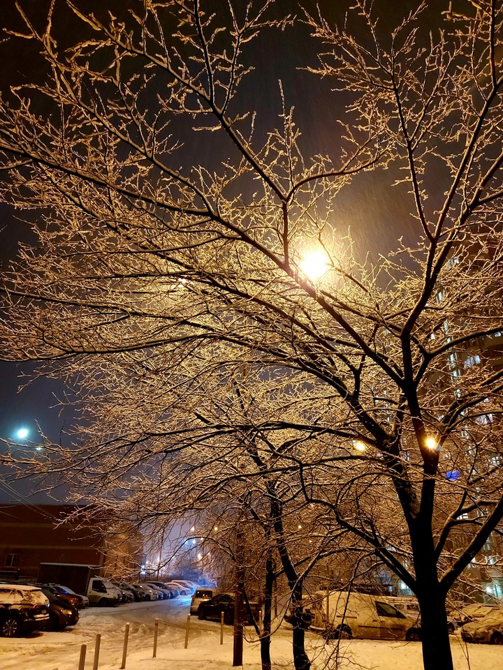 the first snow
