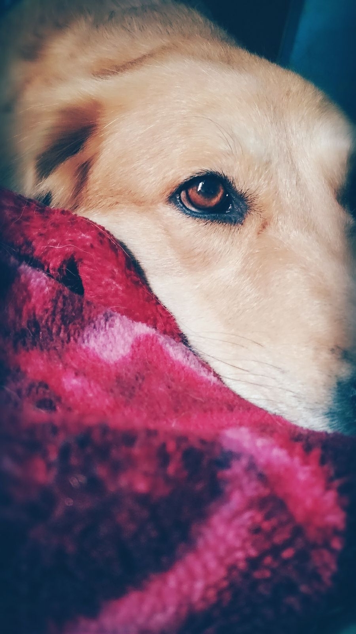 ❤️❤️❤️❤️❤️