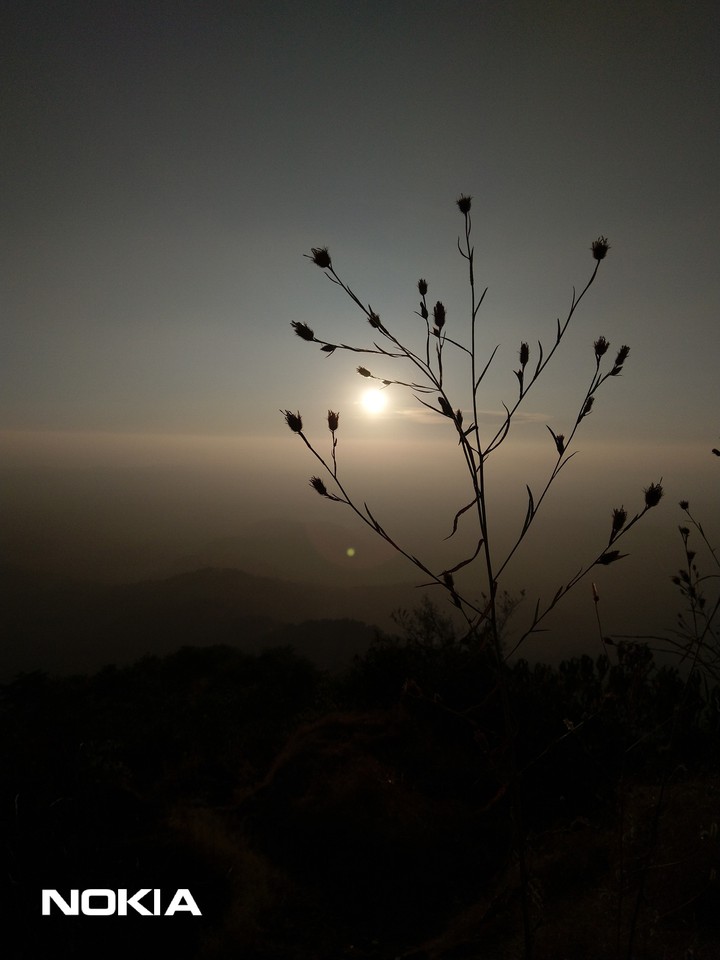 sun