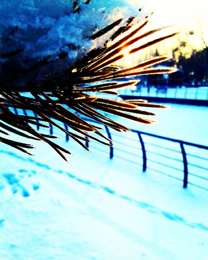 winter