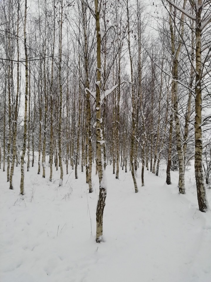Winter