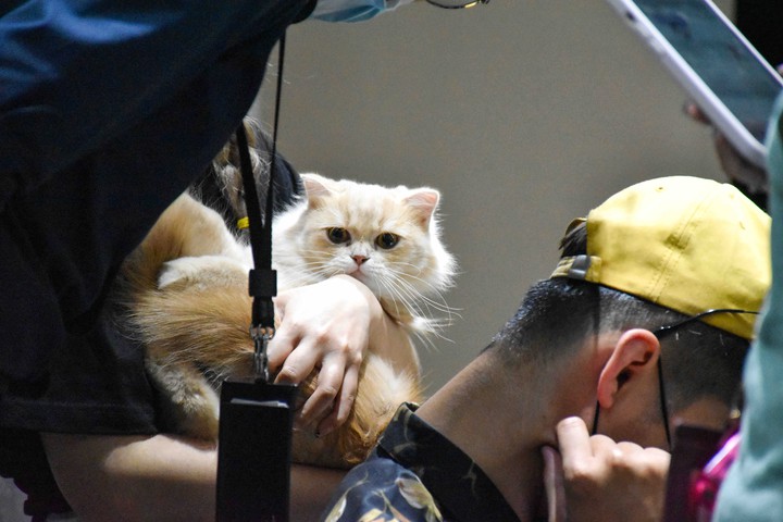 小滿