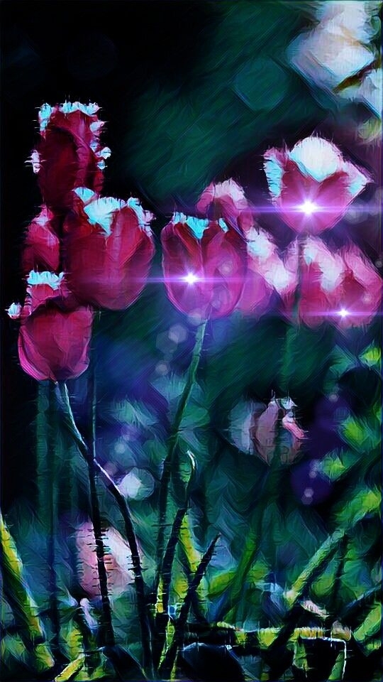 Flowers ls always beautiful.
