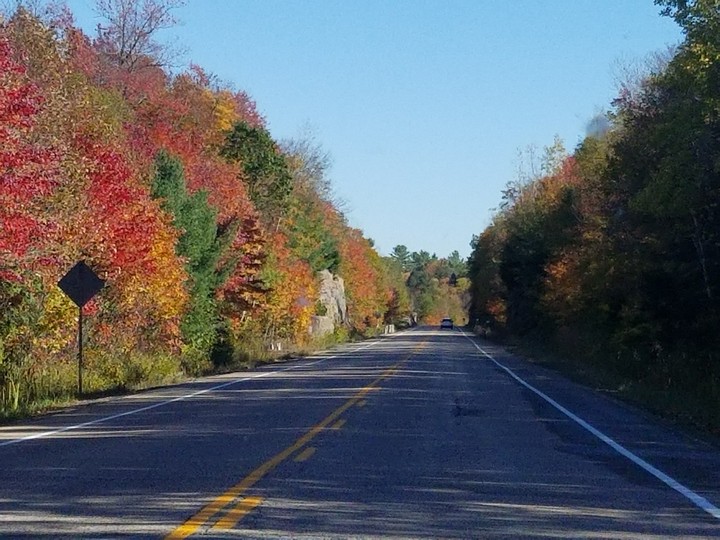 autumn