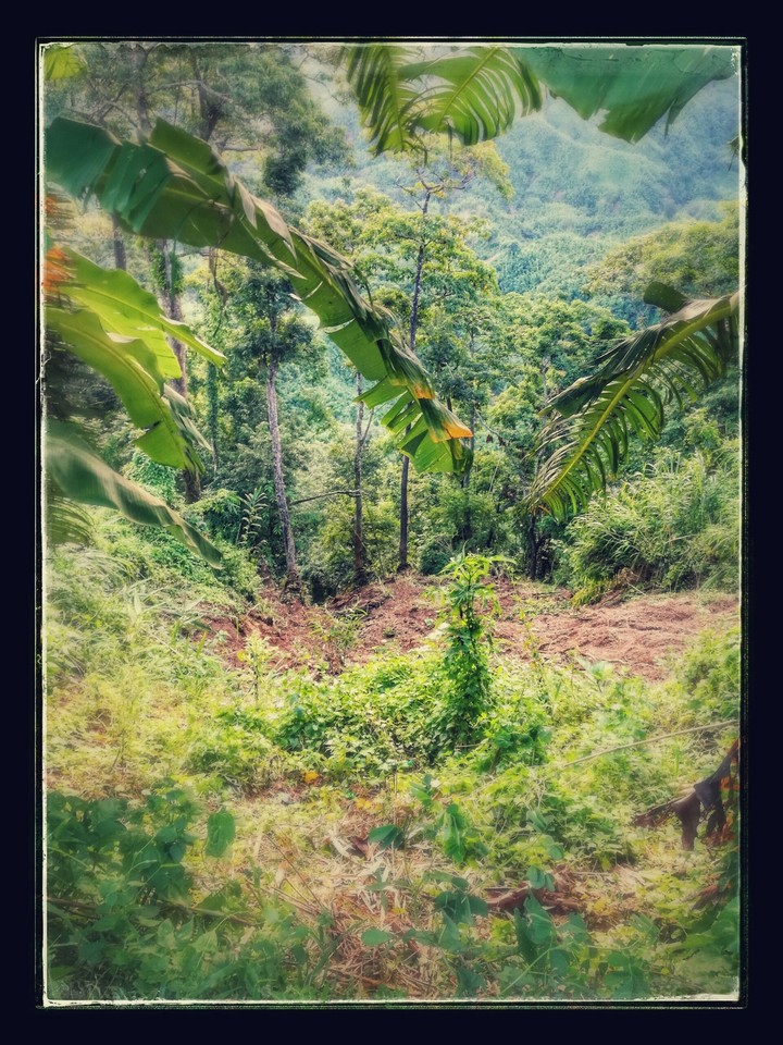 Beauty of Bangladesh