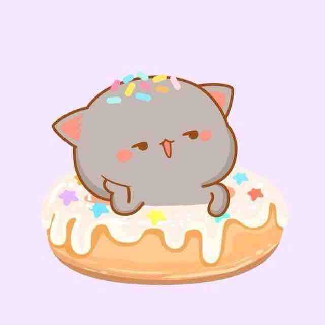 Cat donut fun