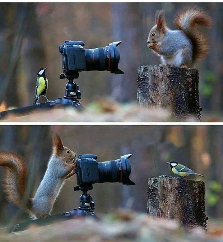 cutest pic..