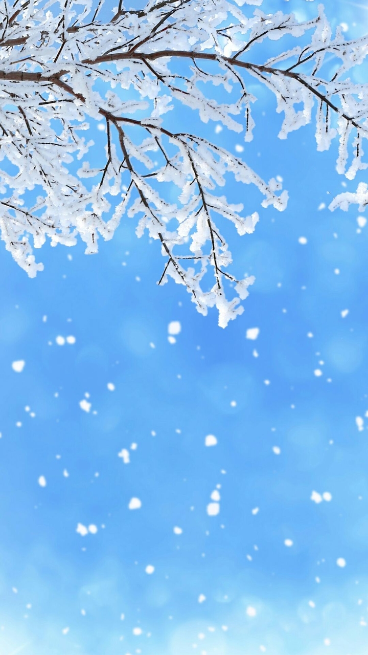 Snow