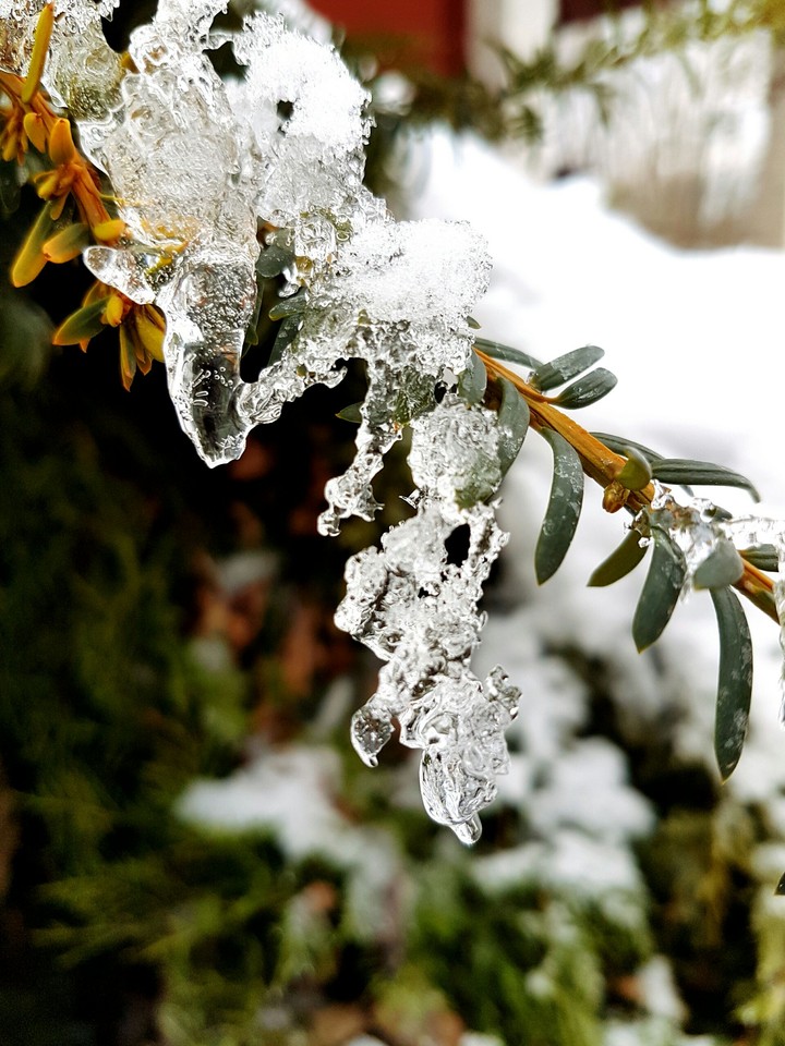 ❄
