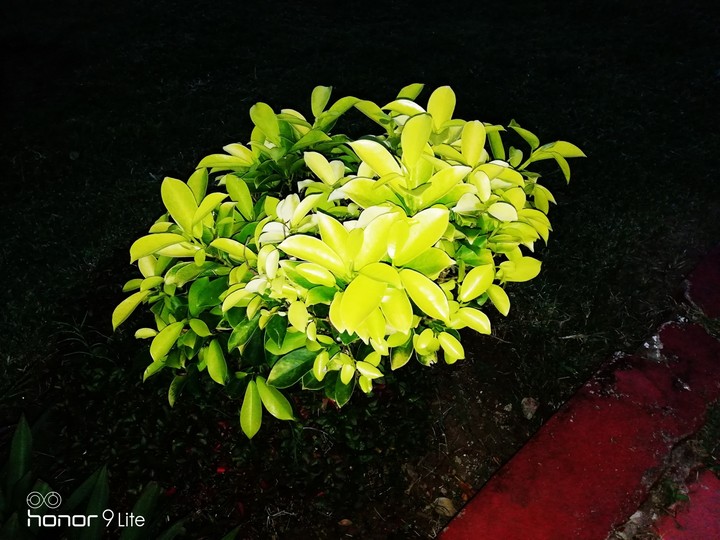 feel the beauty of nature..