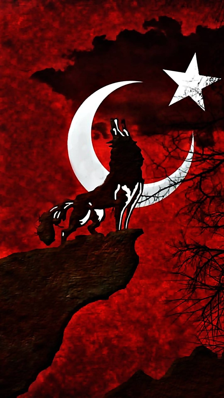 #türk #wolf #ayyıldız