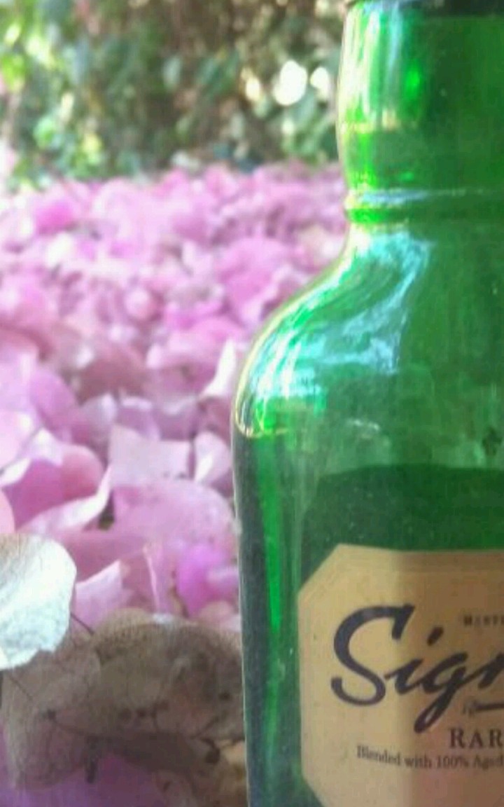 Bottle