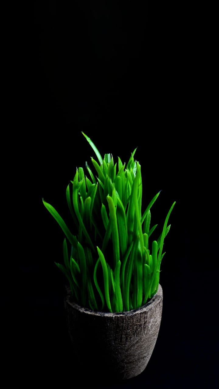 green