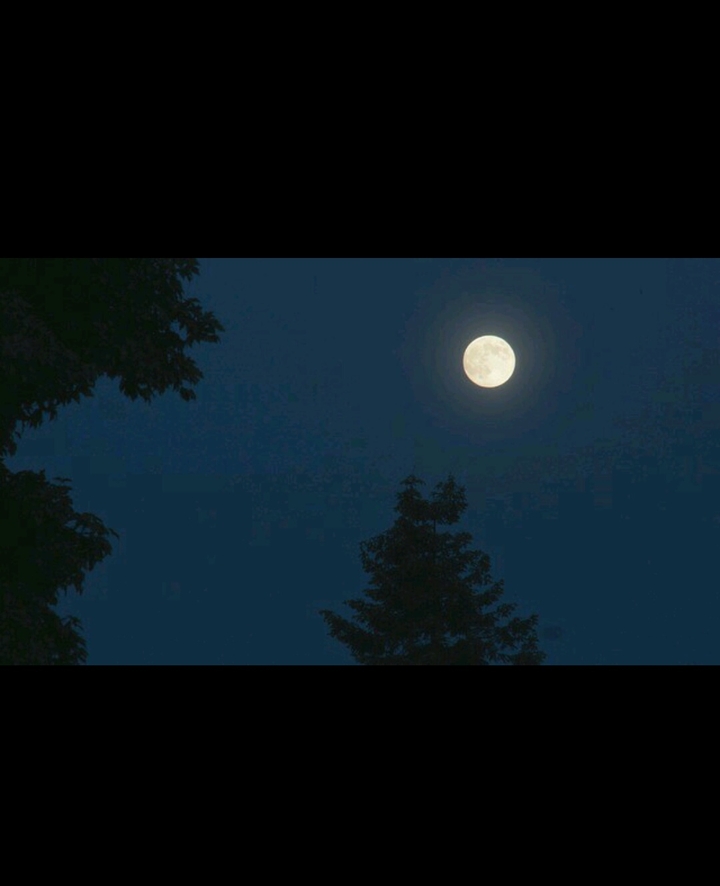 lonely moon