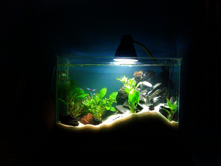 Aquarium