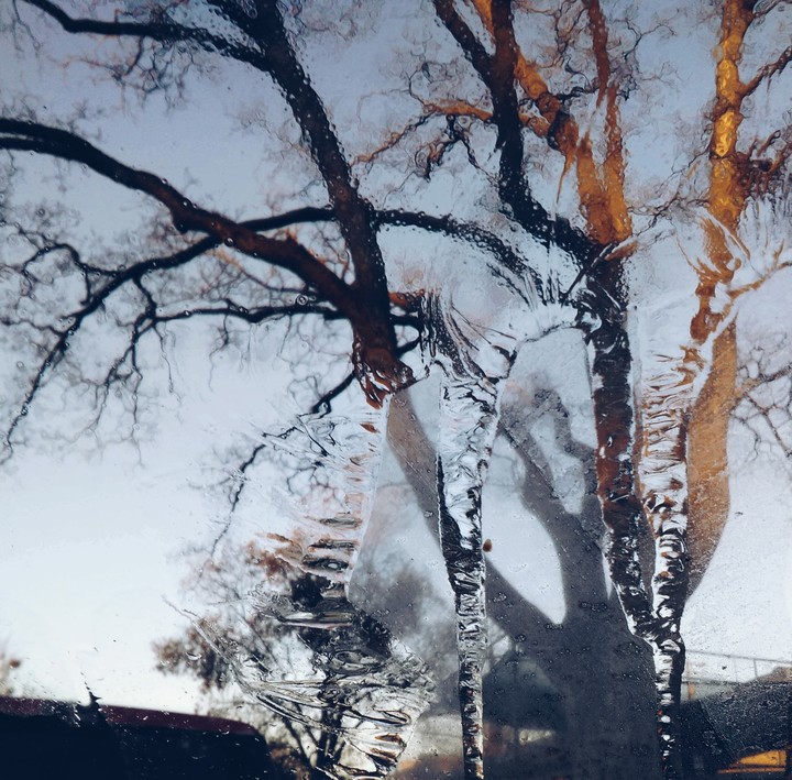 Icy Windshield