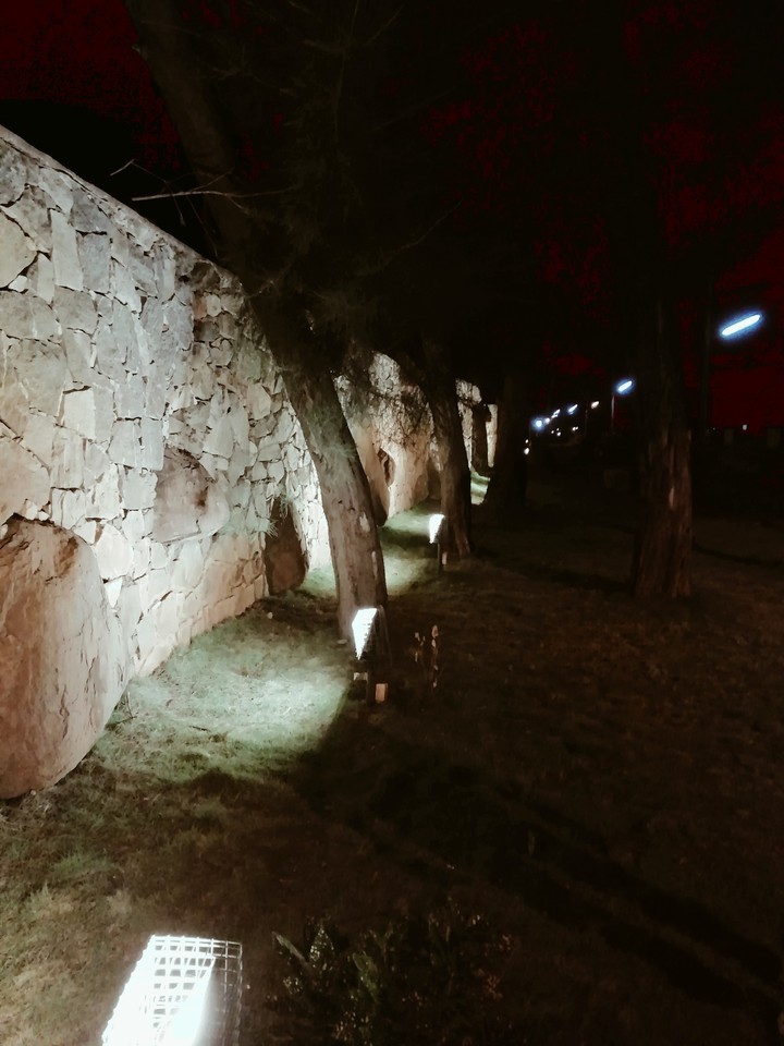 Rock Garden