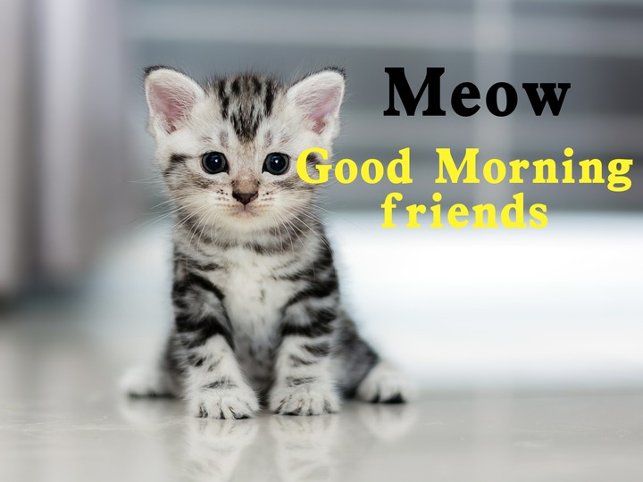 good Morning ?