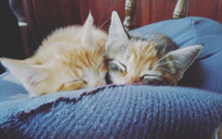 my babies