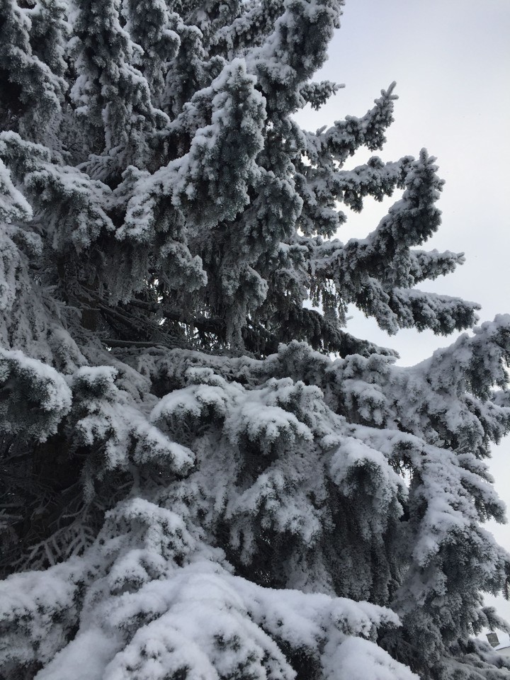 Russian snow winter