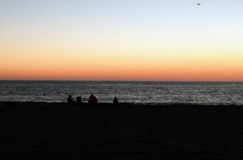 Beach Day