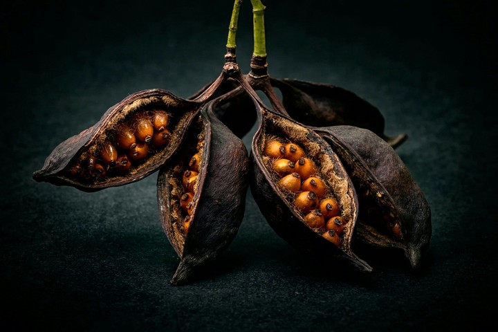 Nature Nuts