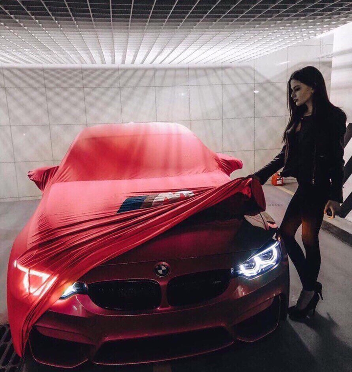 авто
