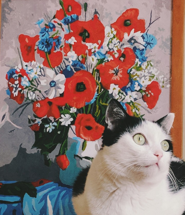 картина кошка