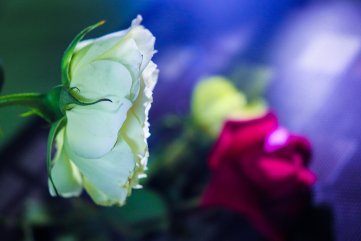Impeccable memories of an imperfect lady...