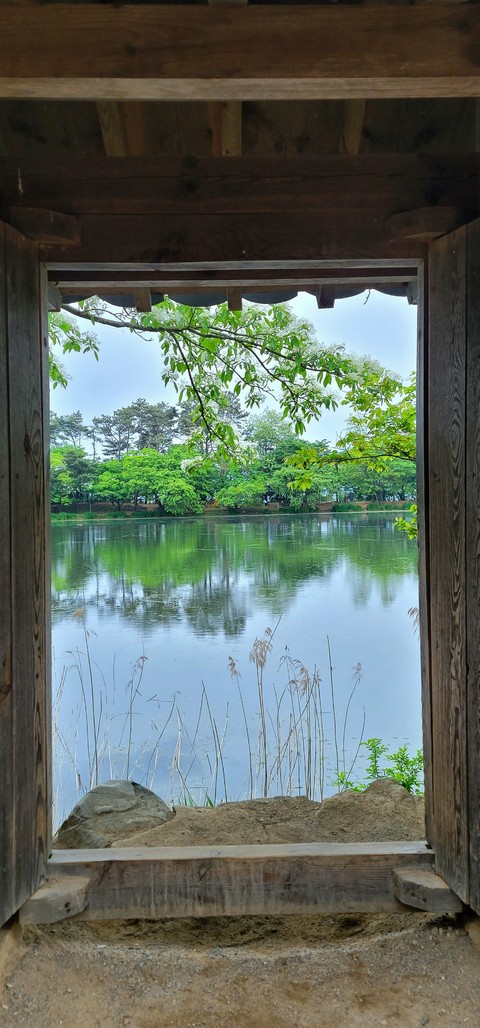 רקעים wetland, Reservoir