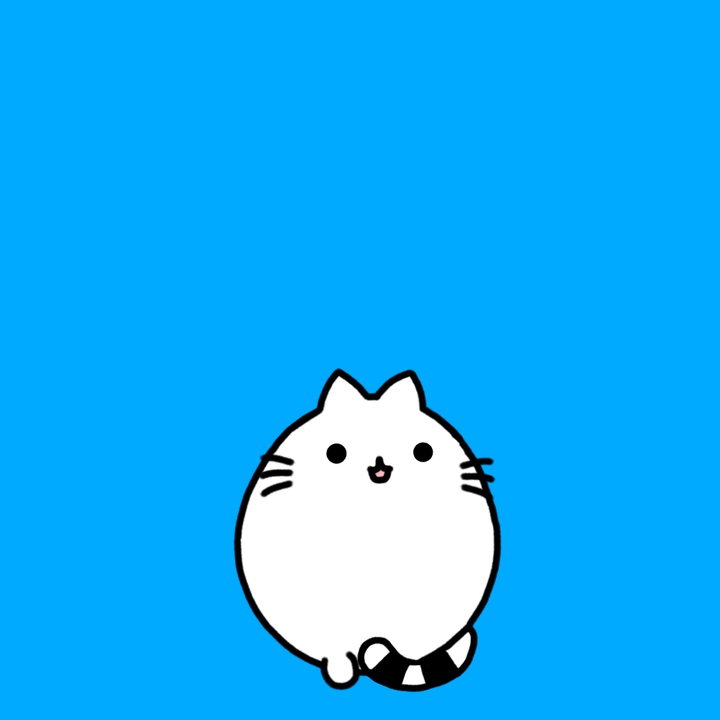 위를 바라보는 몽냥이